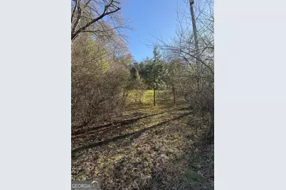 0 Blue Arrow Lane, Mineral Bluff, GA 30559 - Photo 16