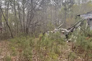 106 Missed Ln, Sparta, GA 31087 - Photo 4