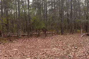 106 Missed Ln, Sparta, GA 31087 - Photo 10