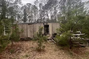 106 Missed Ln, Sparta, GA 31087 - Photo 8