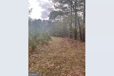 106 Missed Lane, Sparta, GA 31087 - Photo 2