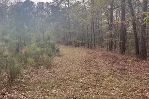 106 Missed Ln, Sparta, GA 31087 - Photo 2