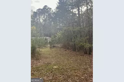 106 Missed Lane, Sparta, GA 31087 - Photo 1