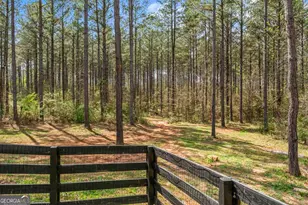 263 Bill Estes Rd, Senoia, GA 30276 - Photo 42
