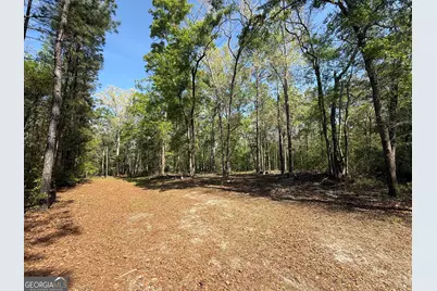 315 High Bluff Road, Rincon, GA 31326 - Photo 2