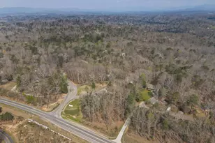 87 Woodglen Ct, Ellijay, GA 30540 - Photo 48