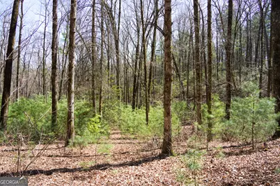 0 Hale Ridge Road, Clayton, GA 30525 - Photo 18