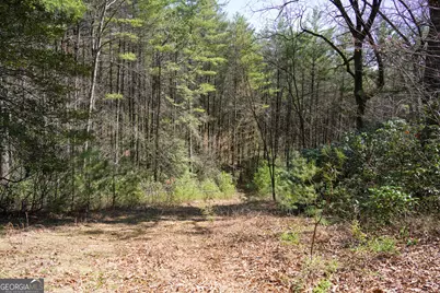 0 Hale Ridge Road, Clayton, GA 30525 - Photo 24