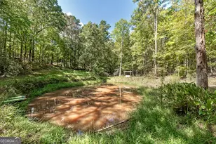 447 Grandview Rd, Mansfield, GA 30055 - Photo 34