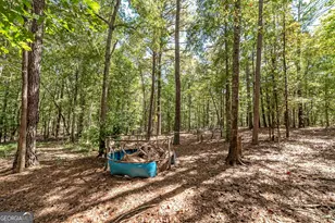 447 Grandview Rd, Mansfield, GA 30055 - Photo 38