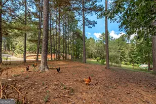 447 Grandview Rd, Mansfield, GA 30055 - Photo 32