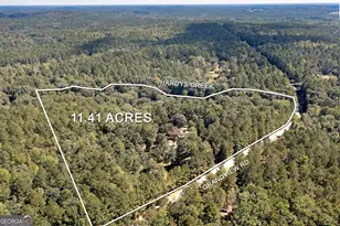 447 Grandview Rd, Mansfield, GA 30055 - Photo 56