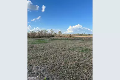 0 Scotts Store Road, Millen, GA 30442 - Photo 8