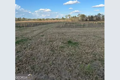 0 Scotts Store Road, Millen, GA 30442 - Photo 10
