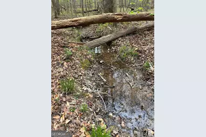 2246 Neal Gap Road, Summerville, GA 30747 - Photo 32