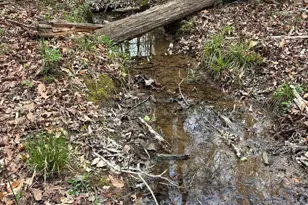 2246 Neal Gap Rd, Summerville, GA 30747 - Photo 32