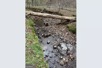 2246 Neal Gap Road, Summerville, GA 30747 - Photo 40