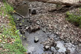 2246 Neal Gap Rd, Summerville, GA 30747 - Photo 40