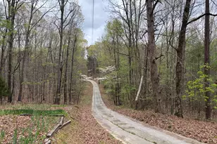 2246 Neal Gap Rd, Summerville, GA 30747 - Photo 6