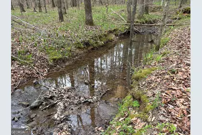 2246 Neal Gap Road, Summerville, GA 30747 - Photo 42