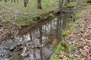 2246 Neal Gap Rd, Summerville, GA 30747 - Photo 42