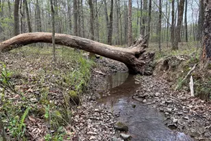 2246 Neal Gap Rd, Summerville, GA 30747 - Photo 36