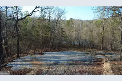 0 Purvis Road, Baldwin, GA 30511 - Photo 4