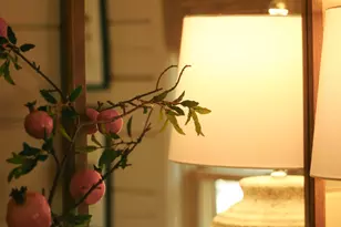 7 Ascherman Court, Blue Ridge, GA 30513 - Photo 20