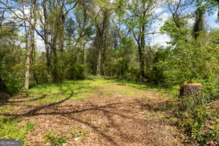 3209 Peachtree St, Lithia Springs, GA 30122 - Photo 20