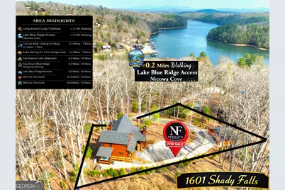 1601 Shady Falls Road, Blue Ridge, GA 30513 - Photo 62