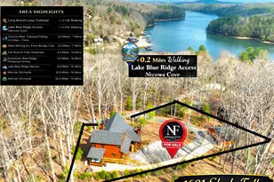 1601 Shady Falls Rd, Blue Ridge, GA 30513 - Photo 62