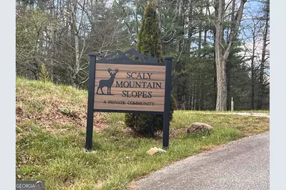 162 Dryman Ridge Road, Scaly Mountain, NC 28775 - Photo 2