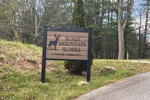 162 Dryman Ridge Rd, Scaly Mountain, NC 28775 - Photo 2