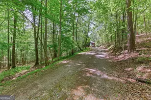 1204 Brookhaven Ln, Blue Ridge, GA 30513 - Photo 34