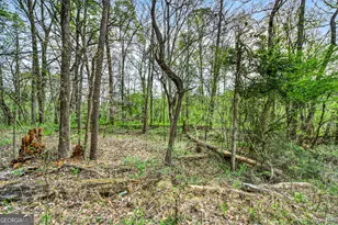 1071 Louden Ridge Rd, Alto, GA 30510 - Photo 66