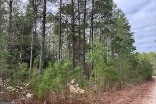 0 Long Ford Rd, Jesup, GA 31546 - Photo 1