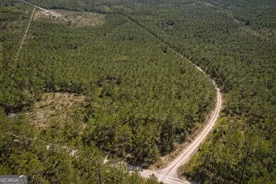 0 Long Ford Road, Jesup, GA 31546 - Photo 2