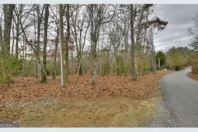 Lt 57 Riverwalk On Toccoa #57, Mineral Bluff, GA 30559 - Photo 2