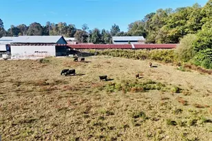 0 Porter Springs Rd, Dahlonega, GA 30533 - Photo 1