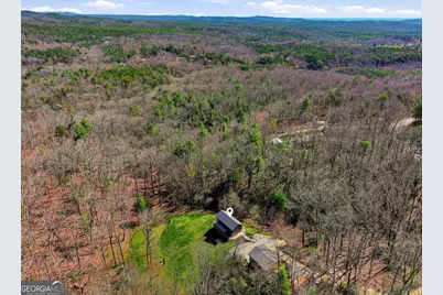 550 Bear Gap Road, Clarkesville, GA 30523 - Photo 4