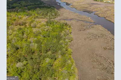 Lot 46 Waverly Lane, White Oak, GA 31568 - Photo 8