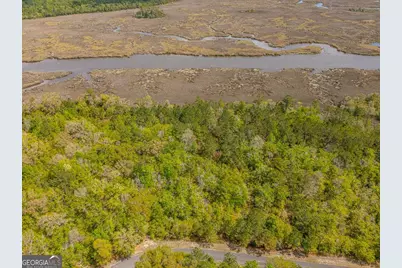 Lot 46 Waverly Lane, White Oak, GA 31568 - Photo 4