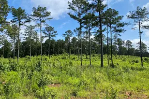 Lot 3 Giles Rd, Forsyth, GA 31029 - Photo 1