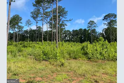 Lot 3 Giles Road, Forsyth, GA 31029 - Photo 4