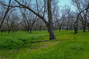 662 Red Hill Rd, Richland, GA 31825 - Photo 26