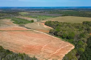 662 Red Hill Rd, Richland, GA 31825 - Photo 36