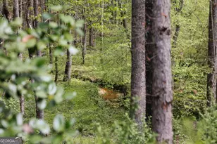 1051 Moss Creek Terrace, Watkinsville, GA 30677 - Photo 64