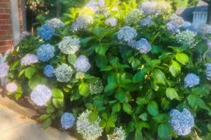 103 Powers Ct, Lagrange, GA 30240 - Photo 38