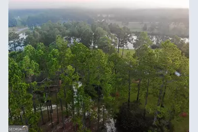 11 Stover White Drive, McRae-Helena, GA 31037 - Photo 46