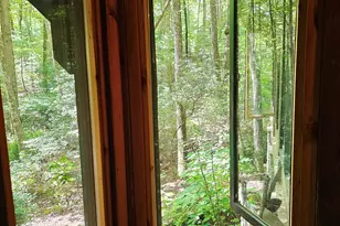 456 Bull Frog Ln, Clayton, GA 30525 - Photo 44